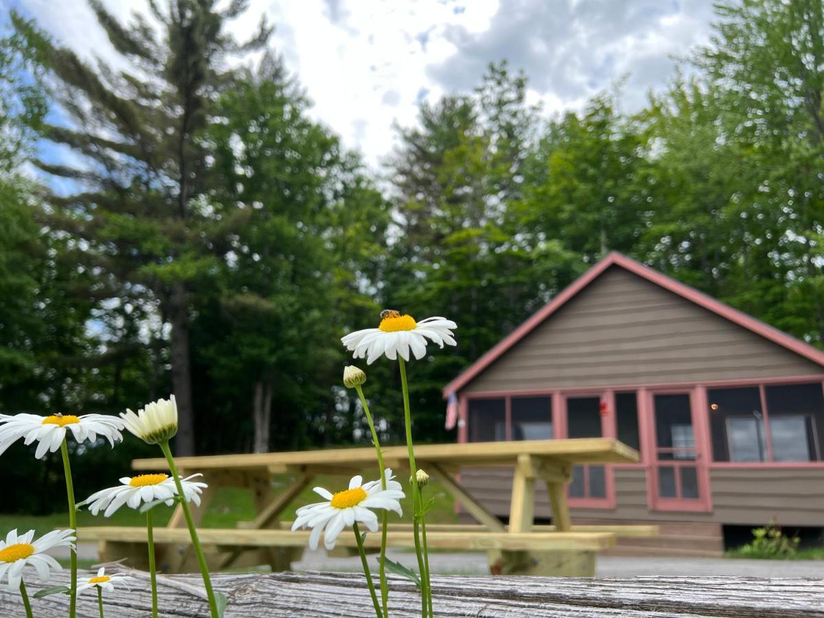 ホテルAdirondack Lake Cabins Indian Lake エクステリア 写真